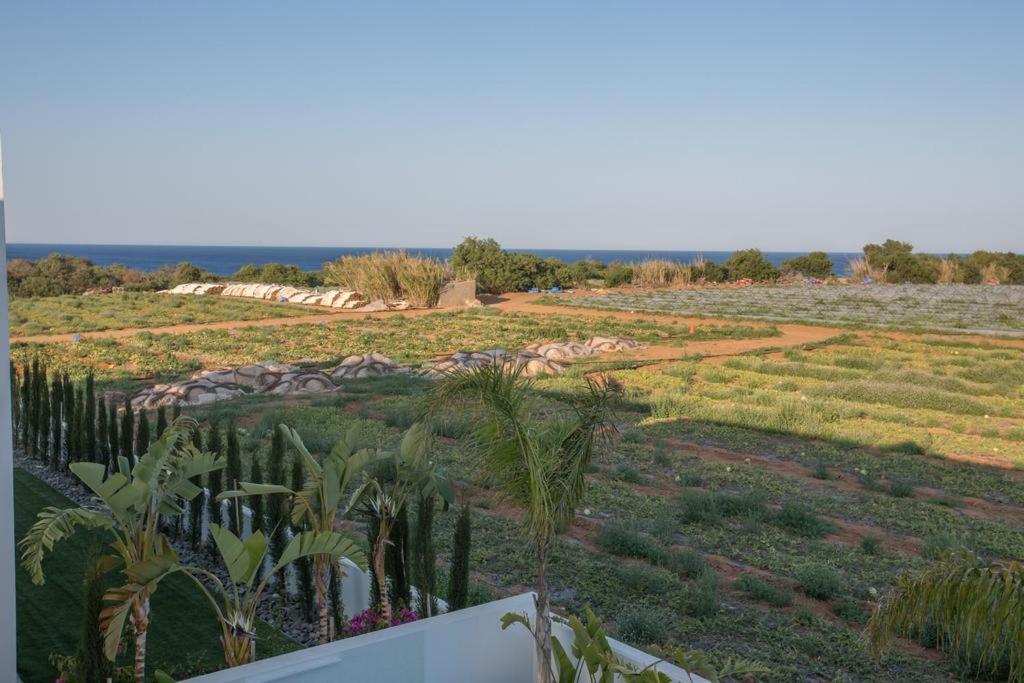 The White H Villa, Protaras, Fresh And Peaceful باراليمني المظهر الخارجي الصورة
